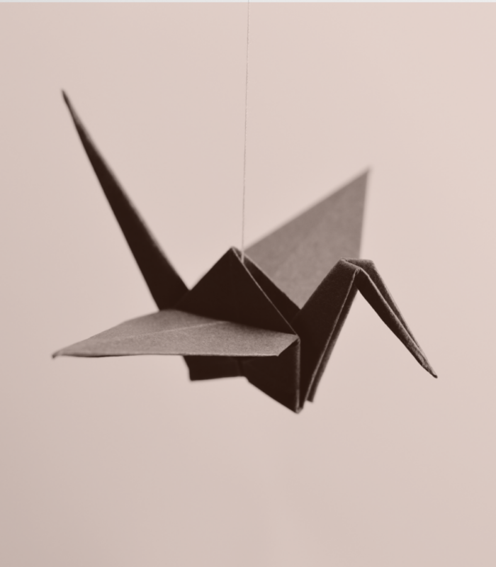 Feature Image